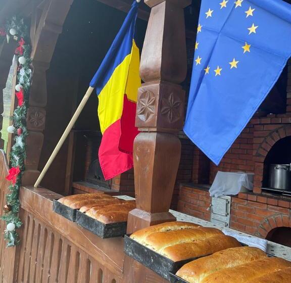 Pensiunea Ileana Teleptean