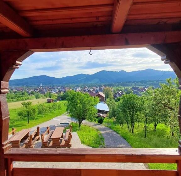 Pensiunea Ileana Teleptean