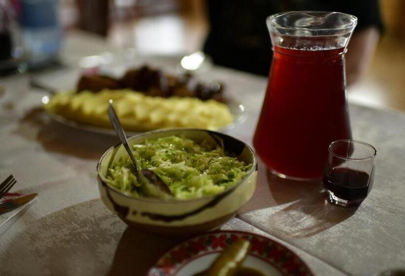 Pensiunea Ileana Teleptean