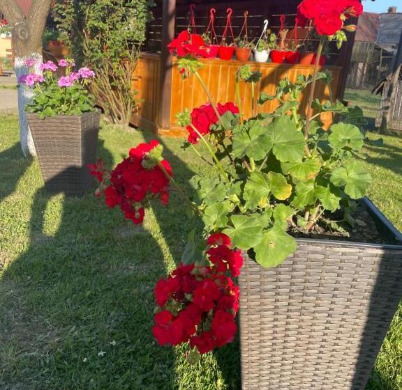 Pensiunea Ileana Teleptean