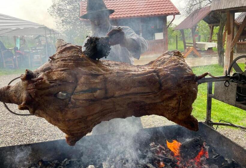 Pensiunea Ileana Teleptean