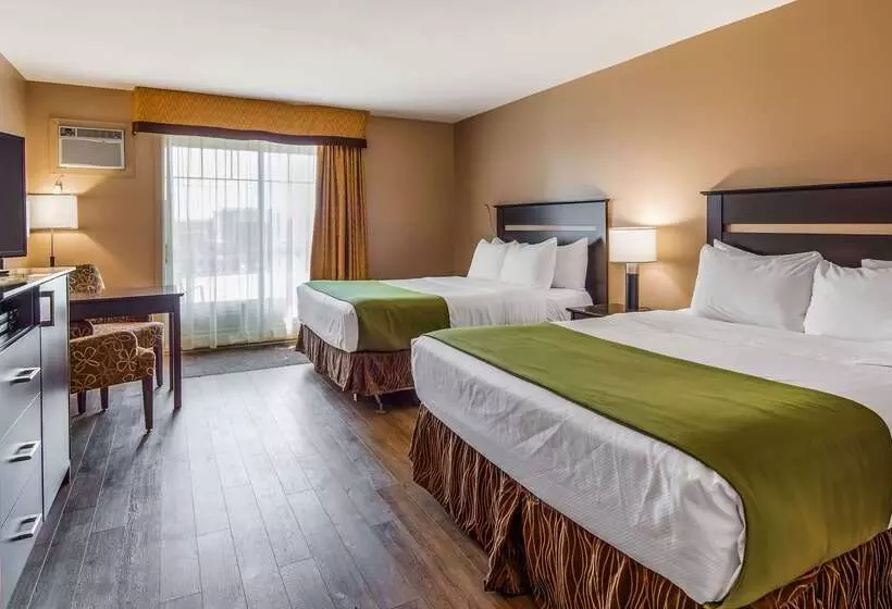 酒店 Best Western Plus Montlaurier