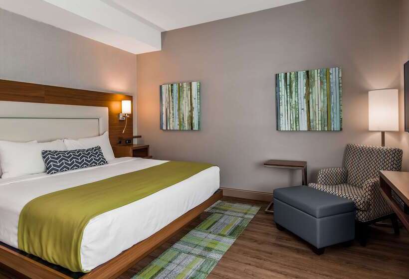 فندق Best Western Plus Montlaurier