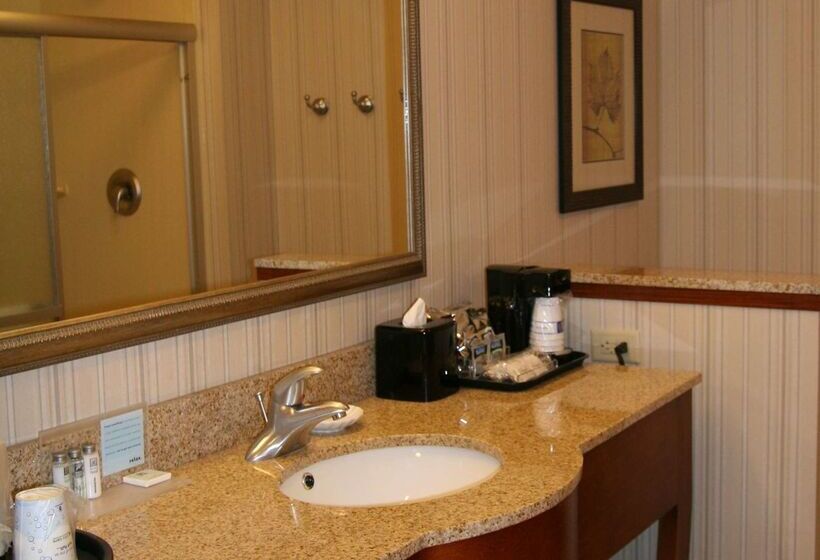 בית מלון כפרי Hampton Inn & Suites Paducah