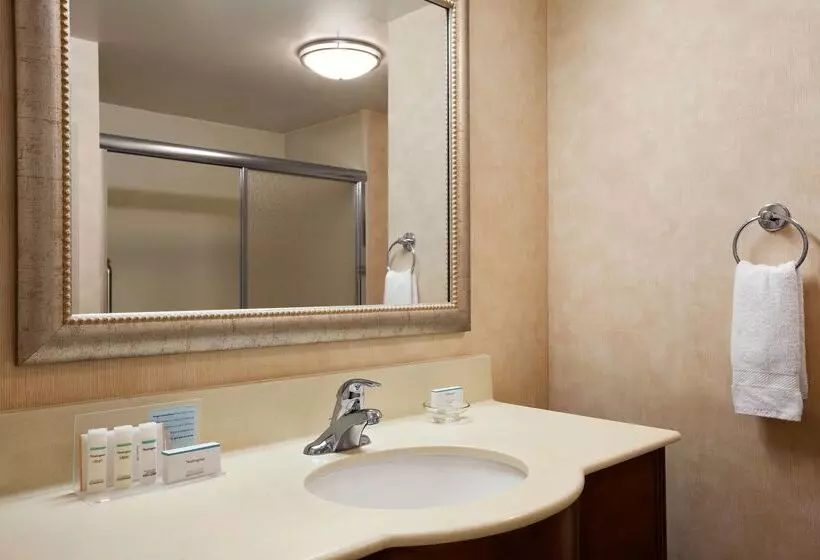 酒店 Hampton Inn Geneva