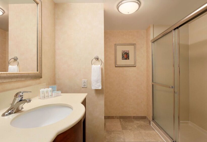 酒店 Hampton Inn Geneva