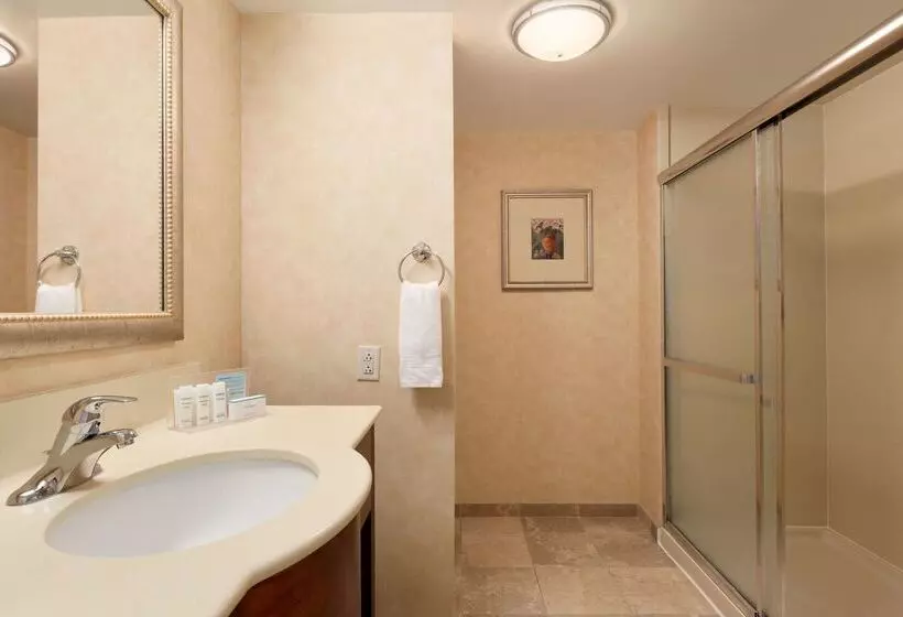 酒店 Hampton Inn Geneva