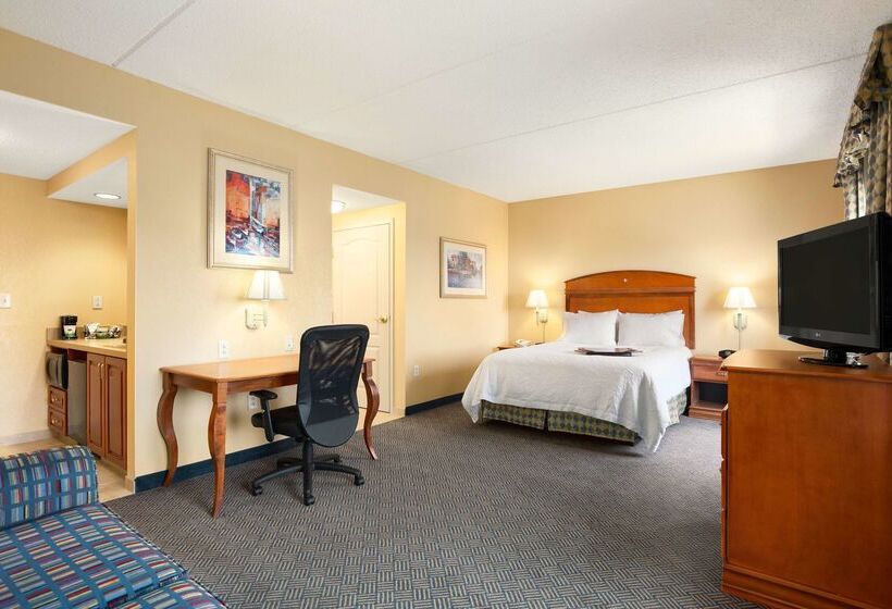 酒店 Hampton Inn Geneva