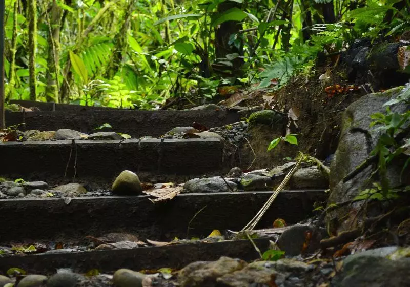 فندق Hideaway Rio Celeste