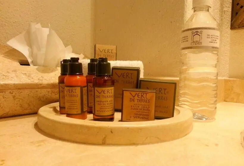 酒店 & Spa Hacienda De Cortes