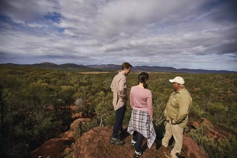 酒店 Discovery Resorts Wilpena Pound