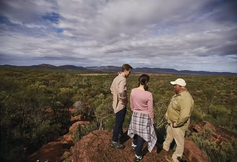 酒店 Discovery Resorts Wilpena Pound