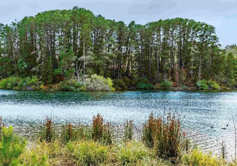 The Sebel Creswick Forest Resort