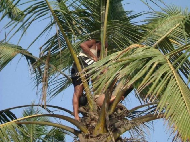 בית מלון כפרי Induruwa Beach Villa