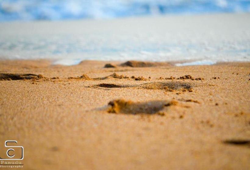 בית מלון כפרי Induruwa Beach Villa