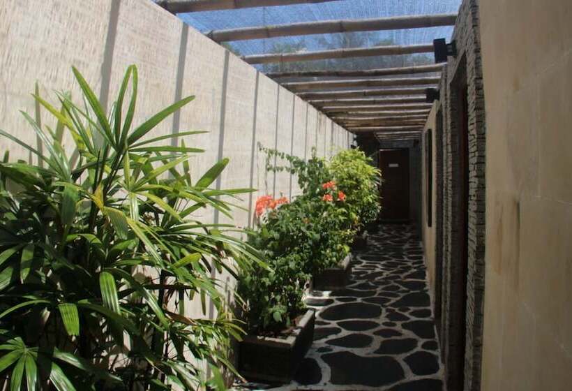 Szálloda Scallywags Smugglers