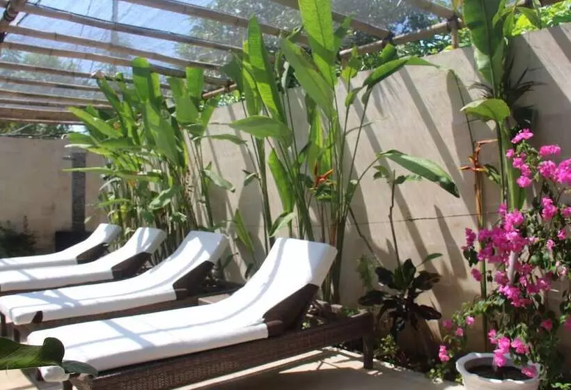 ホテル Scallywags Smugglers