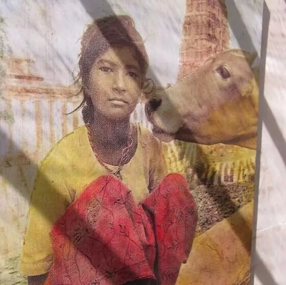 ホテル Scallywags Smugglers