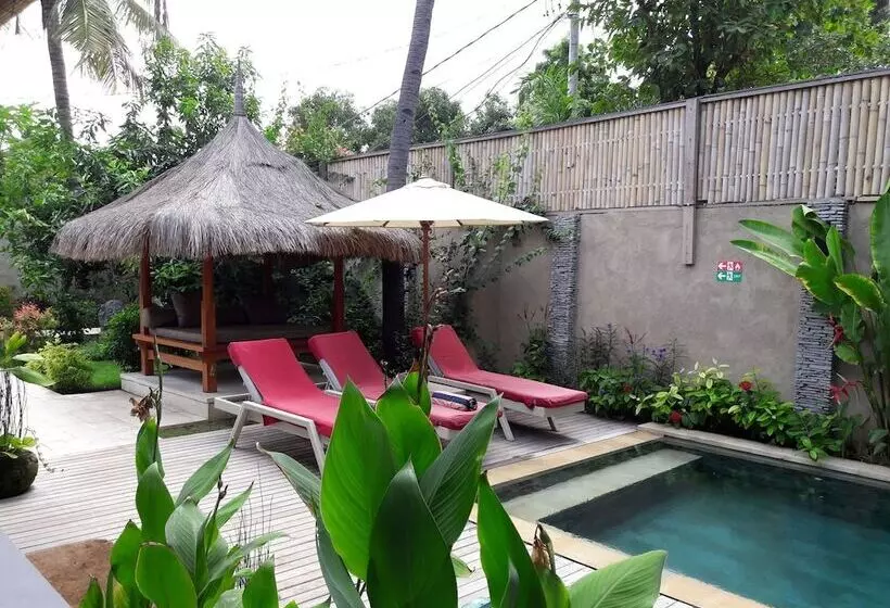 ホテル Scallywags Smugglers