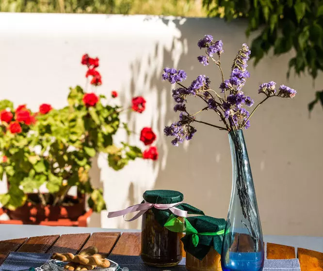 هتل Angeliki S Studios Paros