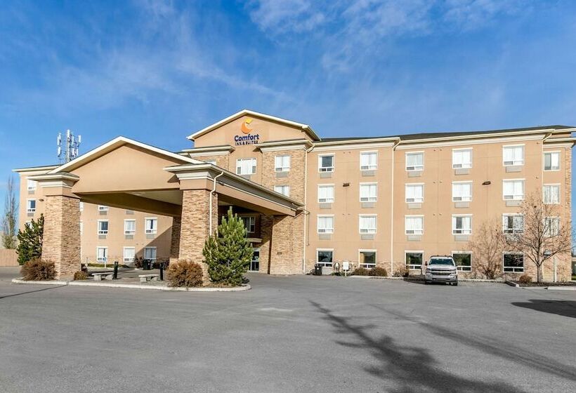 Отель Comfort Inn & Suites