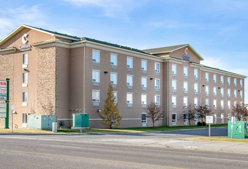 Отель Comfort Inn & Suites