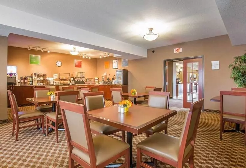 호텔 Comfort Inn & Suites