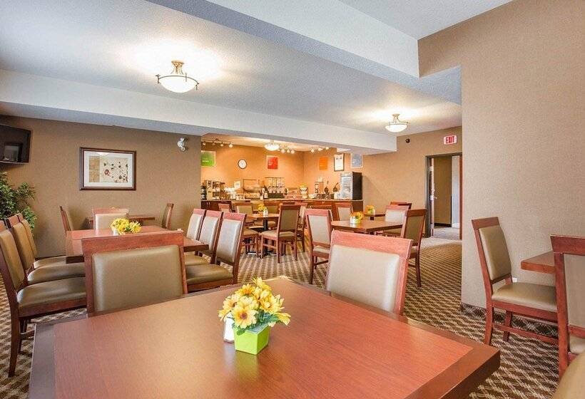 Отель Comfort Inn & Suites