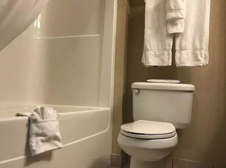 호텔 Comfort Inn & Suites