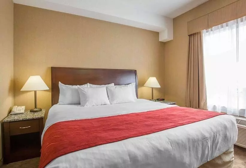 호텔 Comfort Inn & Suites