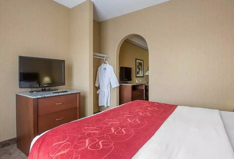 호텔 Comfort Inn & Suites