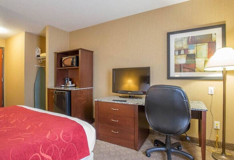 Отель Comfort Inn & Suites