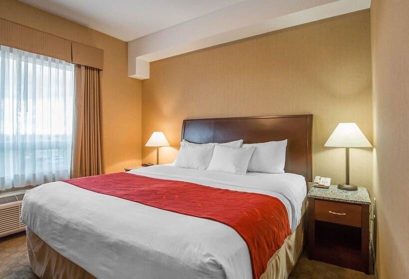 Отель Comfort Inn & Suites