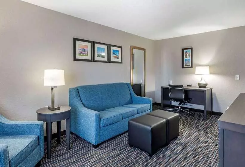 Отель Comfort Inn & Suites