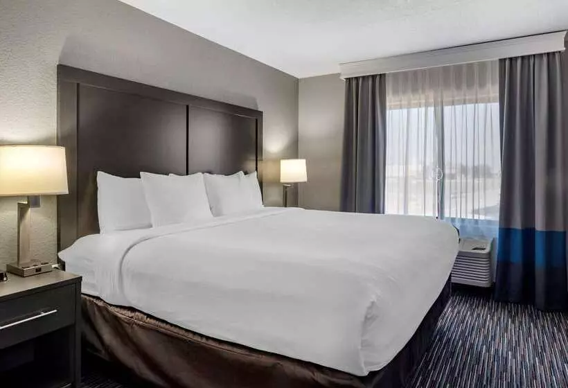 Отель Comfort Inn & Suites