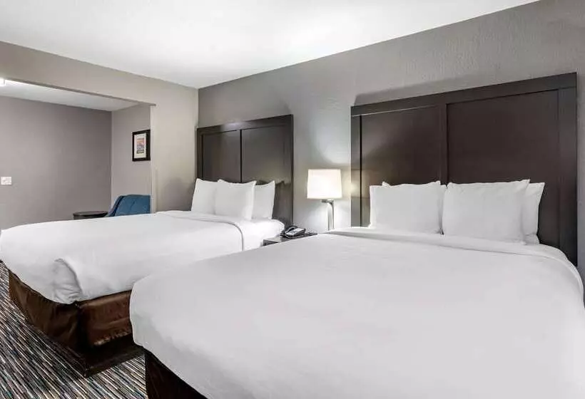 Отель Comfort Inn & Suites