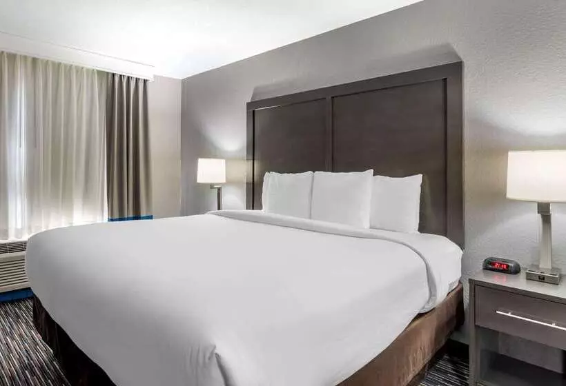 Отель Comfort Inn & Suites