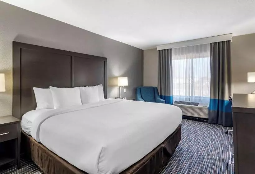 Отель Comfort Inn & Suites