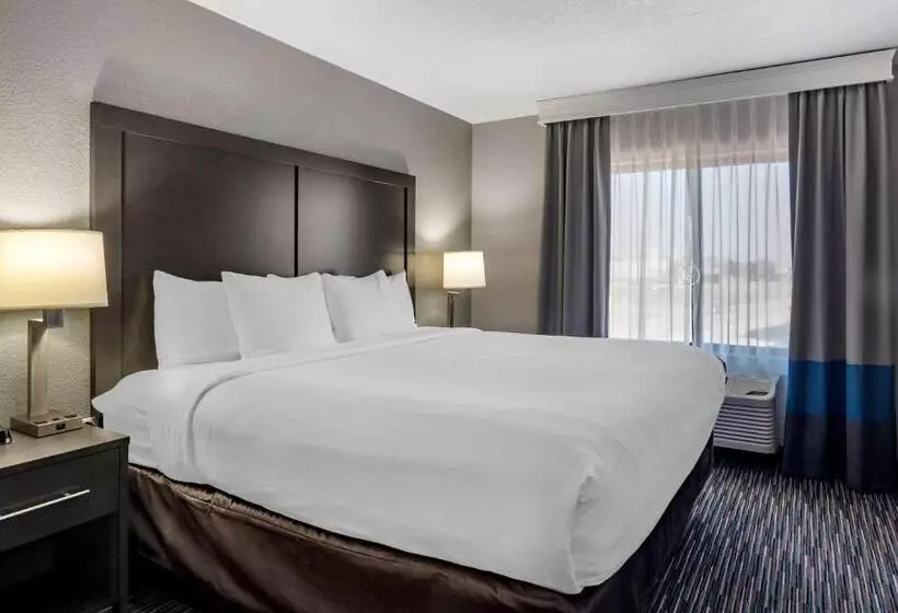 Отель Comfort Inn & Suites