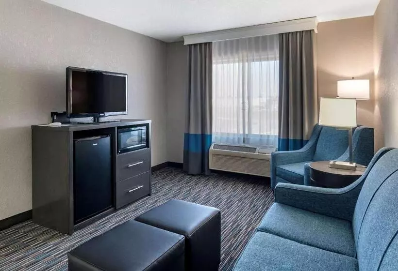 Отель Comfort Inn & Suites