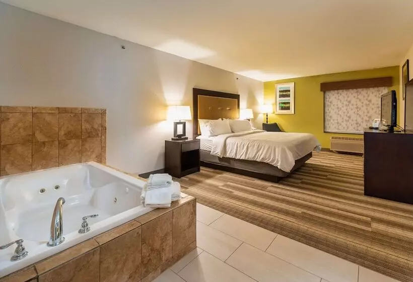 Отель Country Inn & Suites By Radisson, South Haven, Mi