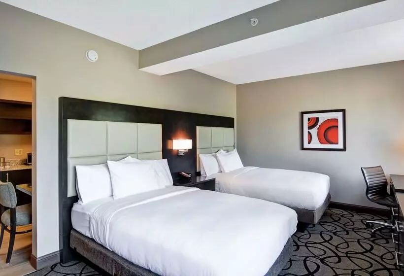 בית מלון כפרי Doubletree By Hilton Hattiesburg, Ms