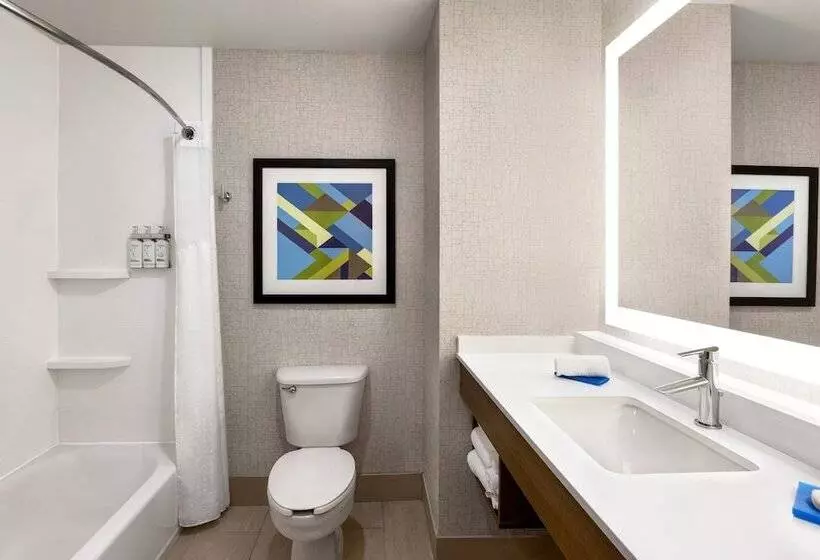 Holiday Inn Express Hotel & Suites Anniston/oxford, An Ihg