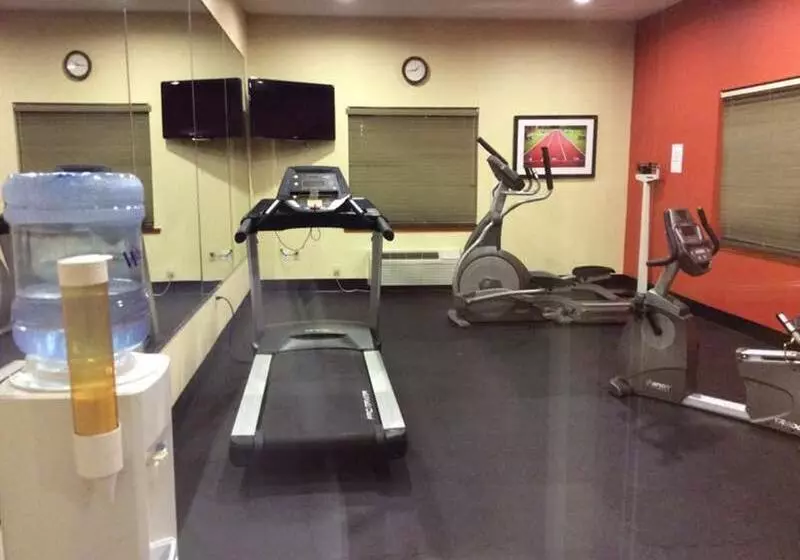 Holiday Inn Express Hotel & Suites Forest, An Ihg