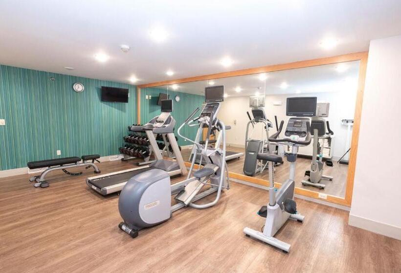 Отель Holiday Inn Express & Suites Iron Mountain, An Ihg