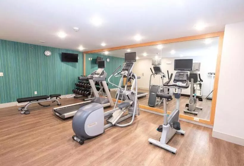 酒店 Holiday Inn Express & Suites Iron Mountain, An Ihg