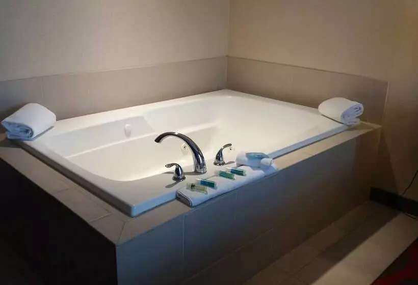 Holiday Inn Express Hotel & Suites Waterford, An Ihg