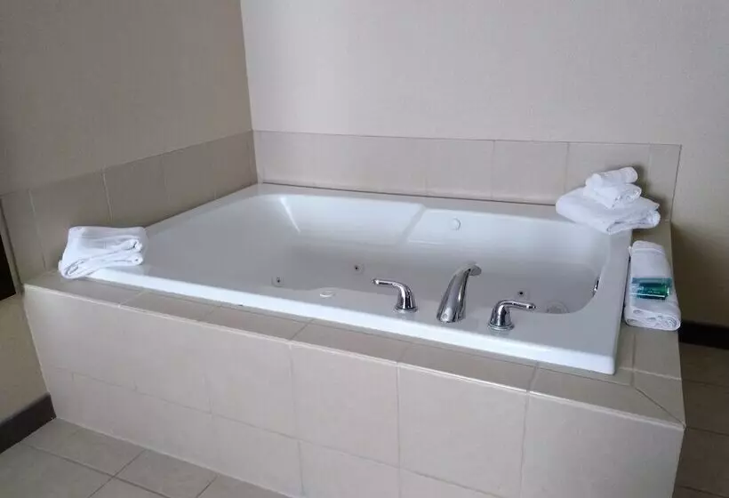 Holiday Inn Express Hotel & Suites Waterford, An Ihg