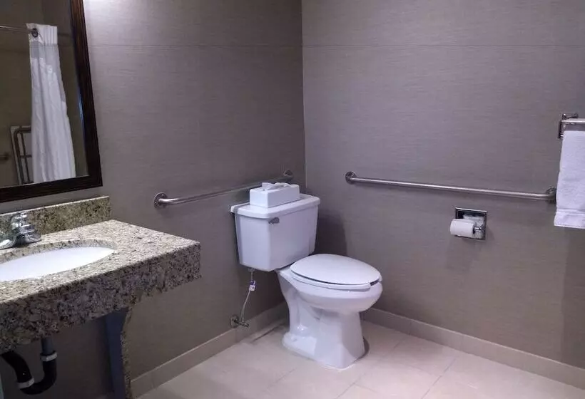 Holiday Inn Express Hotel & Suites Waterford, An Ihg