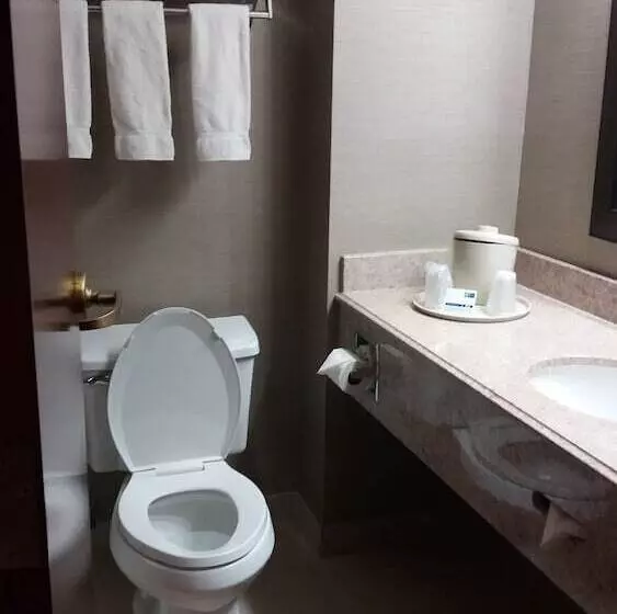 Holiday Inn Express Hotel & Suites Waterford, An Ihg